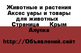 Животные и растения Аксесcуары и товары для животных - Страница 2 . Крым,Алупка